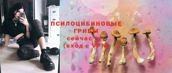прущая мука Алексин