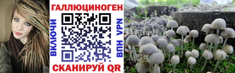 Псилоцибиновые грибы мухоморы  Новоалександровск 