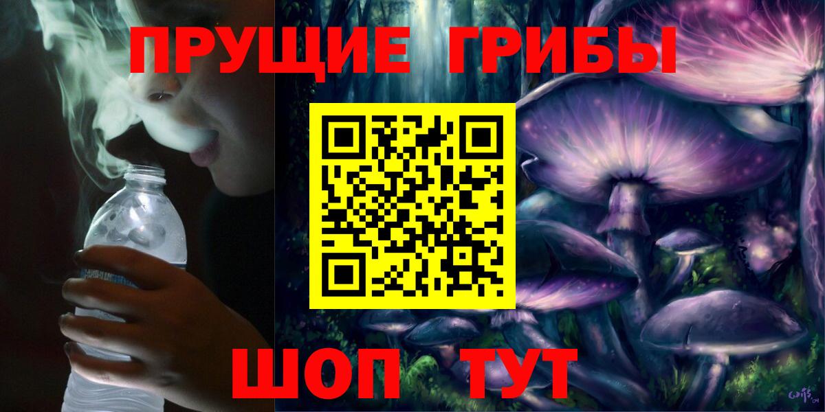 Псилоцибиновые грибы мицелий  цена   Псилоцибиновые грибы Magic Shrooms  Новоалександровск  Вход с VPN 