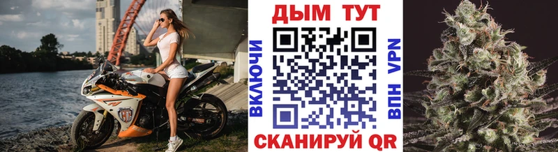 закладки  Новоалександровск  Шишки марихуана конопля 